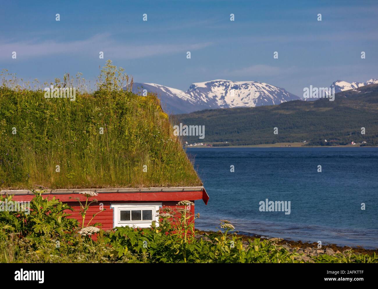 L'ÎLE DE KVALØYA, BAKKEJORD, NORVÈGE - toit de gazon sur l'île de Kvaløya en premier plan, et vue de l'Straumsfjorden fjord et montagnes. Banque D'Images