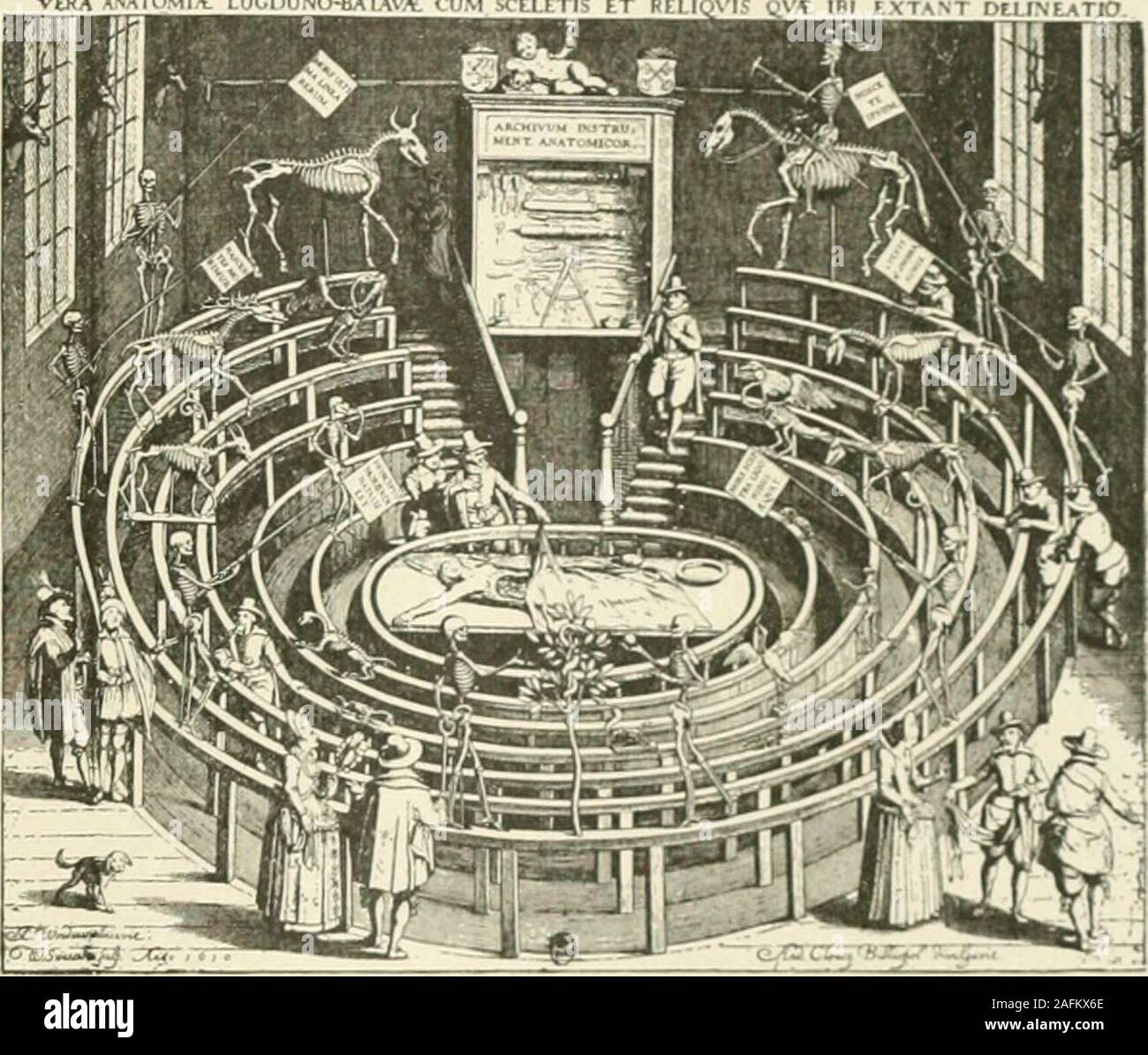 . Rembrandt : sa vie, son travail et son temps. une, 1543. 2 Ils sont maintenant connus pour avoir été dessiné par Jan van Calcar. 97 chambres à dissection néerlandais l'un d'entre eux, le frontispice, a un intérêt particulier pour nous. Il Leçon isa en anatomie, avec certains des détails étudiés à partir de la vie, butforming dans le principal une composition un peu à la manière d'theSchool d'Athènes. L'action se déroule dans une sorte de rotonde withcolumns ; un concours de personnes dans diverses attitudes de presser l'arenaand la circulaire sièges. Vésale se trouve dans le centre à un tableau-dissection, sur lequel un cadavre fait face au spectateur, t Banque D'Images
