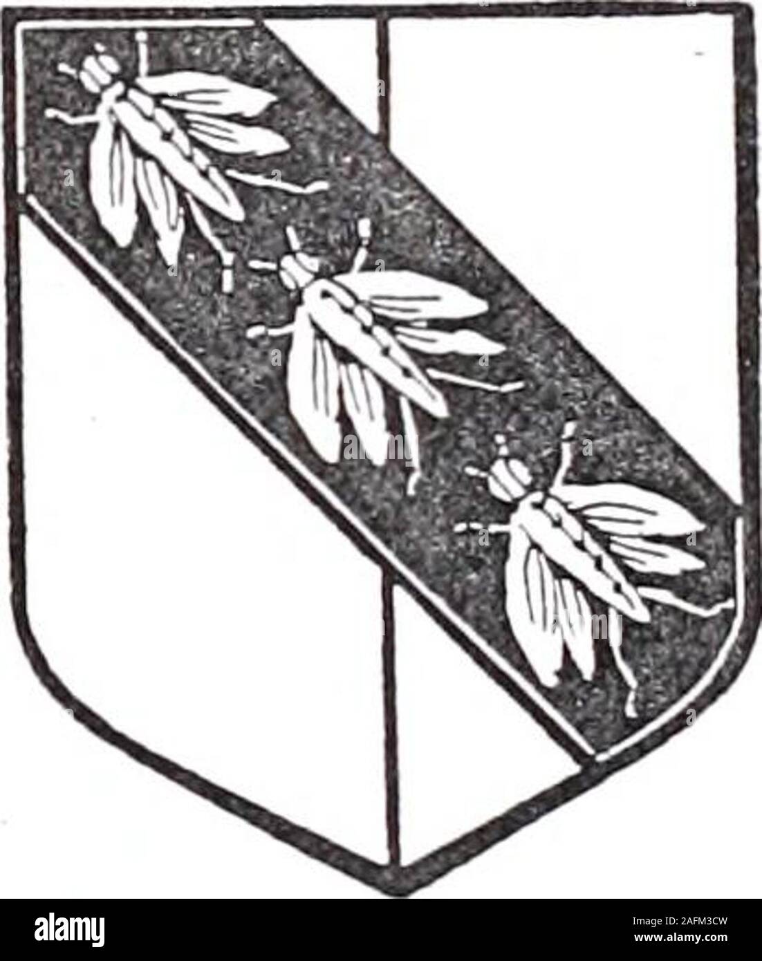 . Histoire de la famille de skeet, Somerscales, Widdrington, Wilby, Murray, Blake, Grimshaw, et d'autres. 1817. bur. 1774. Ann, née Judith, née 1771. - - 757 &gt ; mar. - George, né en 1762 ; William, né 1768 ; John Dunn. Rebecca, née 1771. ob. 1763. bur. 1769. Tous sont morts jeunes. J'. !. I I Anthony Nord,^Eleanor Watson, William, né George, né Charles, né =Belinda Marris, b()anr782. Vous mar. 1817. et bur. 1784. 1786 ; bur. 1788 ; bur. mar. 1841. En date du 1824. 1788. 1841. Mauvais I. JE Lewis, né George, né et bur. 1795. Harriet, née Ann, née 1794 ; =pHenry Francis Skeet. 1790. S - 1791 ; bu Banque D'Images