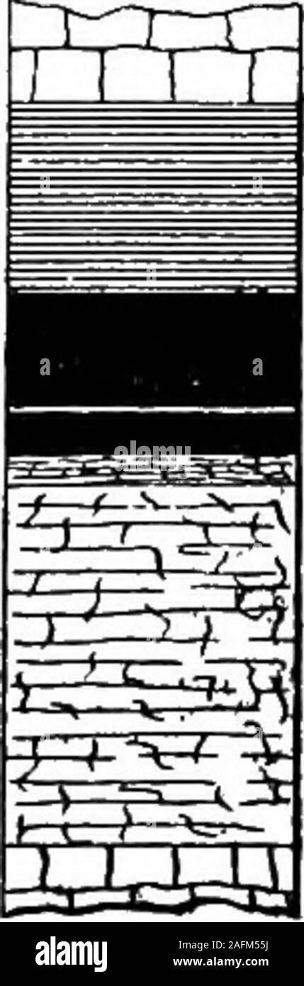 . [Les rapports vol. I-XIII]. La pierre calcaire. Flssile,noir, schiste, avec concrétions. Haut de charbon. Smnt et la pyrite. Le charbon. Bande d'argile. Le charbon. Le feu de l'argile. La pierre calcaire. L'article de lit. FIG. 78. L'article de charbon. Higginsyllle bedat 120 RAPPORT PRÉLIMINAIRE SUR LE CHARBON. Expérience de cokéfaction. La Toof est bon et le long mur de méthode de isCharacter minière coai. suivie avec succès. Le charbon est pyritiferous mais est compara-ment nettoyer autrement. Il gâteaux et de clinker dans la gravure. Thecoal a été expérimenté avec ici pour la cokéfaction et, bien qu'un fairproduct a été obtenu, approprié pour l'usage domestique, il était trop weakand avait trop s Banque D'Images
