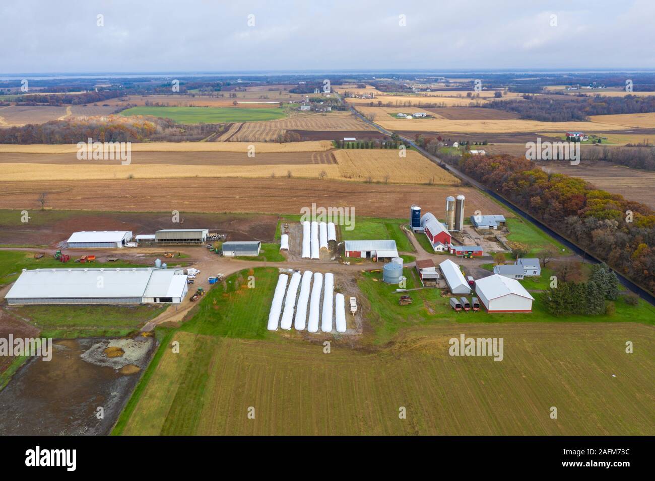 Omro, Wisconsin - Knigge Farms, une ferme laitière avec des machines à traire. Les sacs en plastique blanc sont utilisées pour fins de gain et de stockage d'ensilage, un moins Banque D'Images
