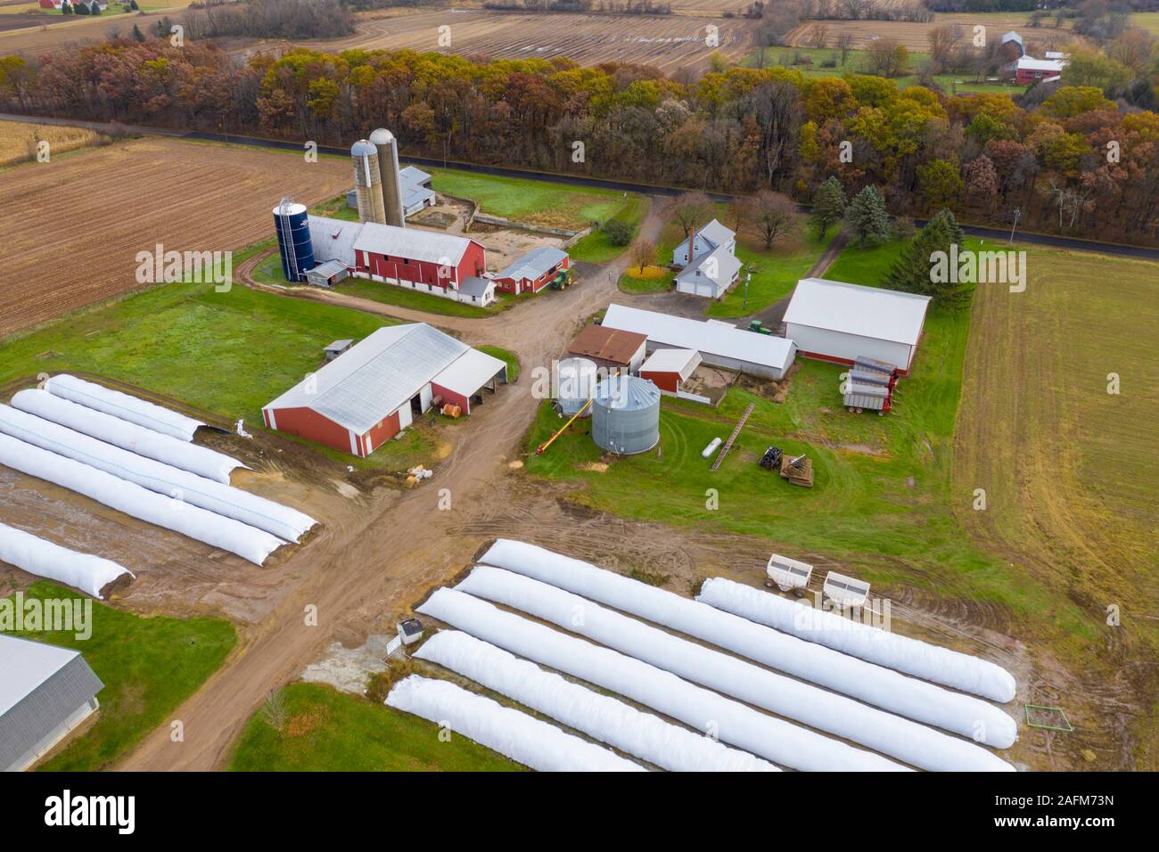 Omro, Wisconsin - Knigge Farms, une ferme laitière avec des machines à traire. Les sacs en plastique blanc sont utilisées pour fins de gain et de stockage d'ensilage, un moins Banque D'Images