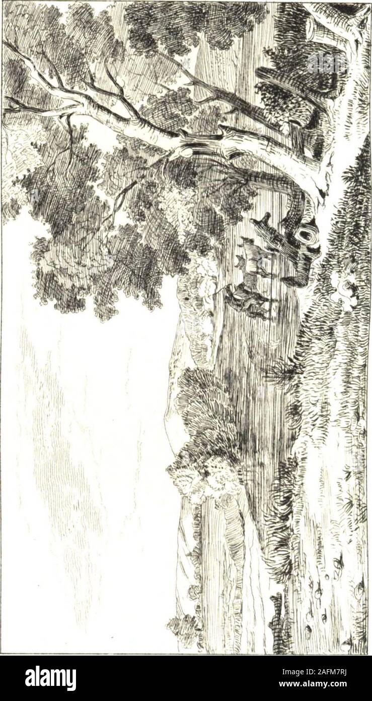 . Voyage en Grèce et dans le Levant fait en 1843-1844 : par A.M. Chenavard, architecte, E. Rey, peintre, professeurs à l'École des beaux-arts de Lyon, et J. M. Dalgabio, architecte. HH. C. DÉPART DE C0NSTANT1N0PLE. - LES DARDA-nelles. - HALIL-ÉLI (TYMBRÉ). -TCHI-noir.-LA PLAINE DE TROIE-KEMALLI-ALEXANDRIA TROAS..-ERKESSIGHI. -S1gée. Il était cinq heures du soir, une épaissevapeur était répandue sur le golfe et lonne distinguait quavec peine les objets pla-cés à une faible dislance. Notre navire étaiten marche, et déjà nous étions en face de la pointe du sérail, lorsque tout-à-coupnous ressen Banque D'Images