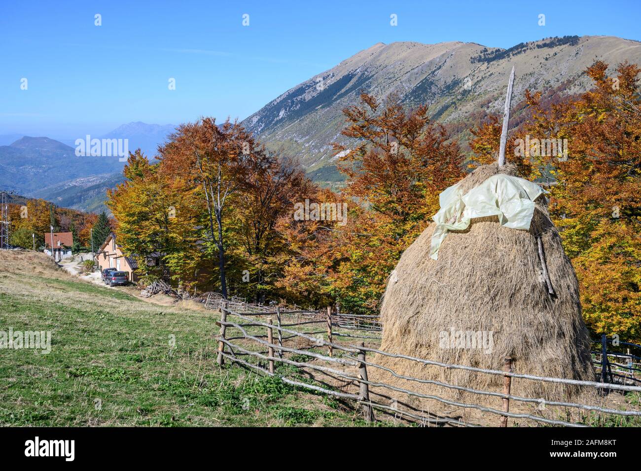 L'automne dans la cimenterie Sharr Mountain National Park près de Prevalla, au-dessus de Prizren, au Kosovo, au centre des Balkans. Banque D'Images