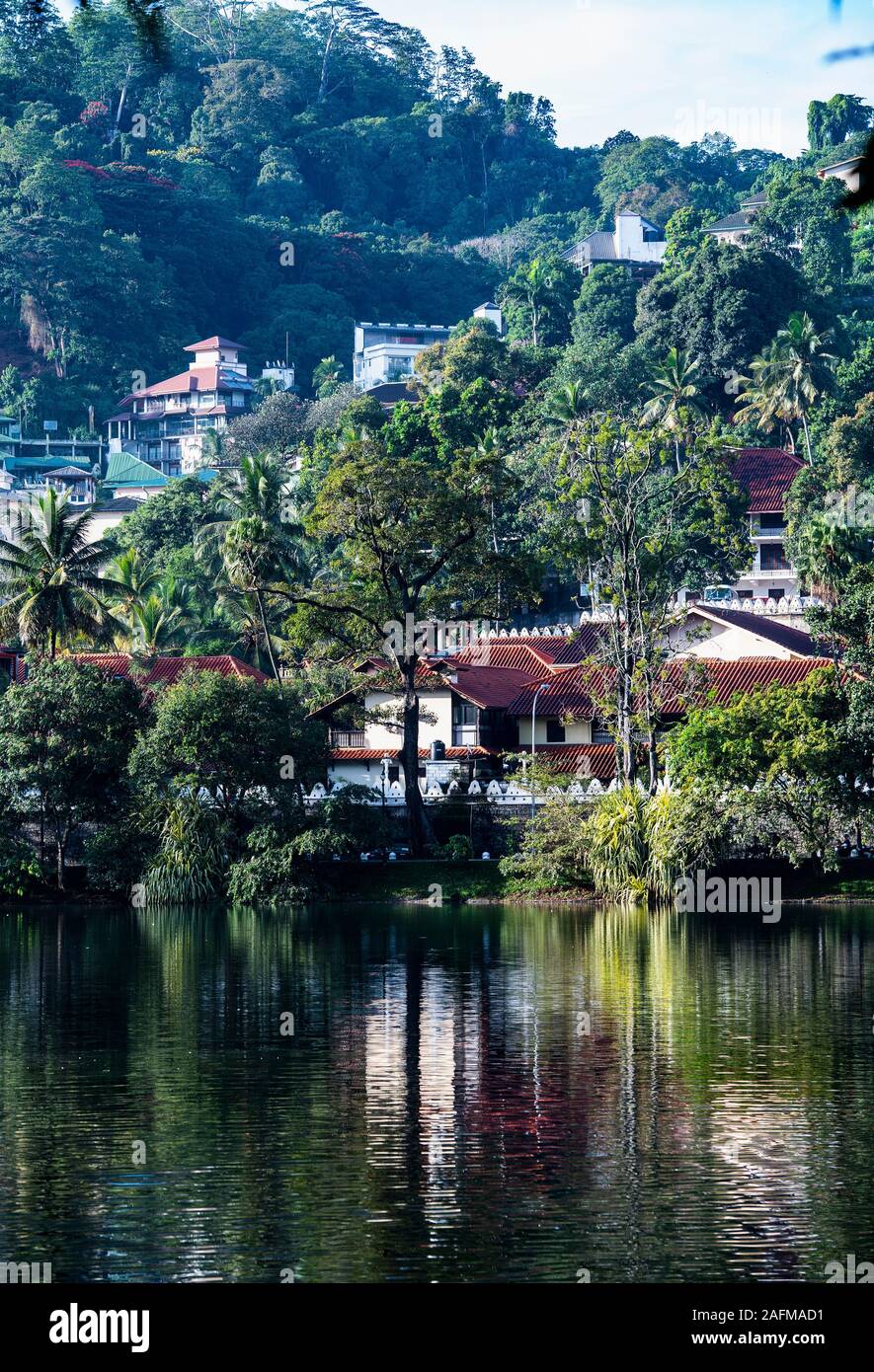 Maisons haut de gamme sur une colline à Kandy / Sri Lanka Banque D'Images