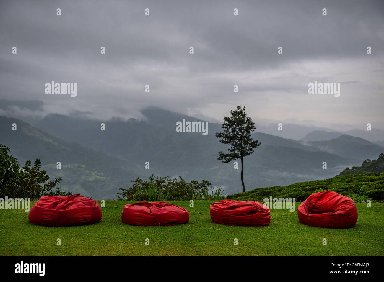 Coussins rouge dans les hautes terres du Sri Lanka Banque D'Images