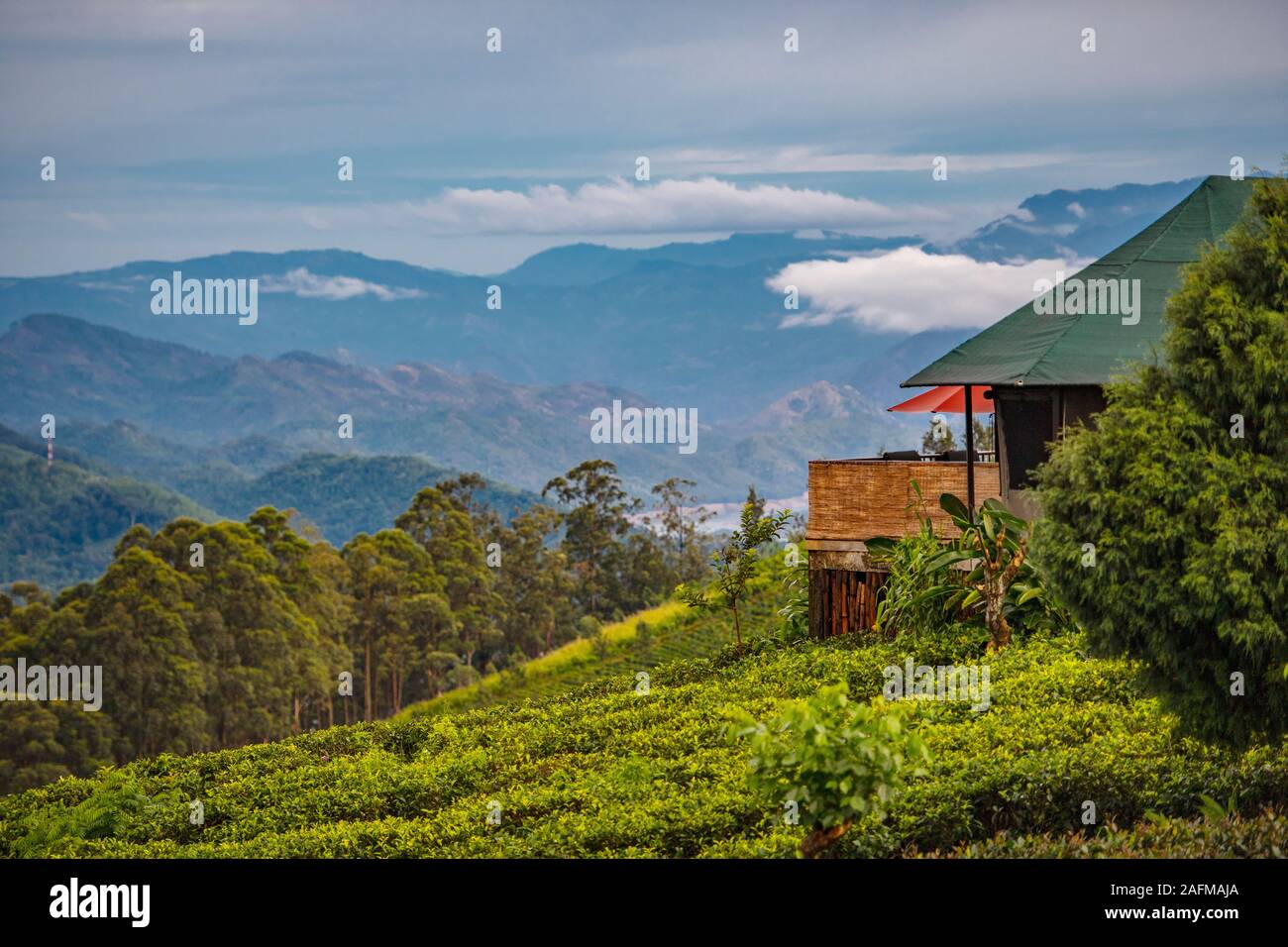 Lodge de luxe à la plantation de thé dans les hautes terres du Sri Lanka Banque D'Images