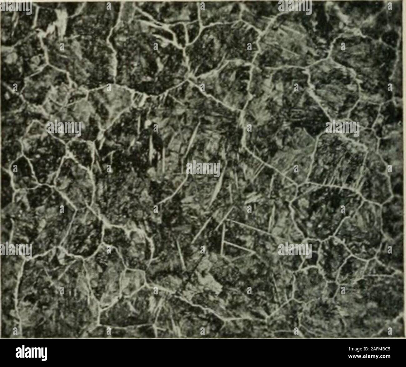 . Les transactions. Comme reufis. fu jiui roulé. Disque dur Brinell- normalisée. L'unia aiLi-AuiiL,uuu ^^ness, 321. La dureté Brinell, 255. Fig. 28.-Analyse : C, 1,39 ; Mn, 0,20 ; si, 0,191 ; 0,029 ; P, S, 0,015  %. ^^B ?^^^ ^1 ^^^d'cijl k/ ^^^^ ^^k5^^^j K Bonjour, je suis BI. ^. Comme vous l'avez reçu. Hot rolled. Disque dur Brinell- normalisée. À partir de 1 000°C.recuit ness, 351. La dureté Brinell, 302. La FiQ. 29.-une-alysis : C, 1,46 ; Mn,0,20 ; si, 0,133 ; S, 0,035 ; Cr, 0,35 ; P, 0 011 p. 100. J. H. NEAD Discussion 235 E. D. Campbell, Ann Arbor (Michigan), à l'un ou à tous les familiers avec la re-cherche travail peut à la fois voir que M. Nead a condensé dans Banque D'Images