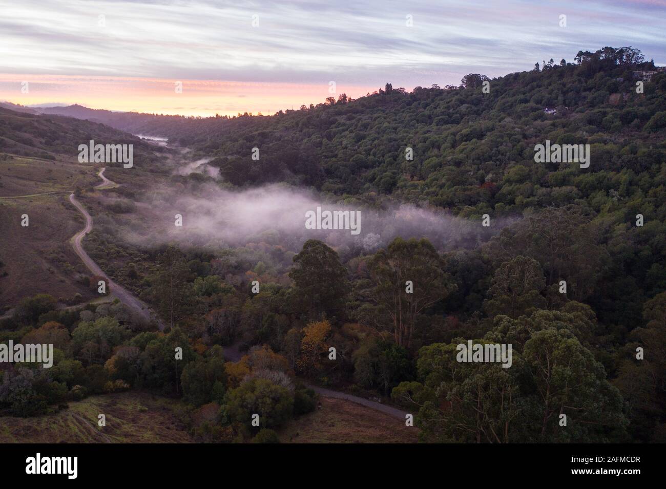 Beaux sentiers de randonnée serpentent à travers les collines de l'est pacifique, juste à l'est de la Baie d'Oakland, Berkeley, et El Cerrito dans la région de San Francisco. Banque D'Images