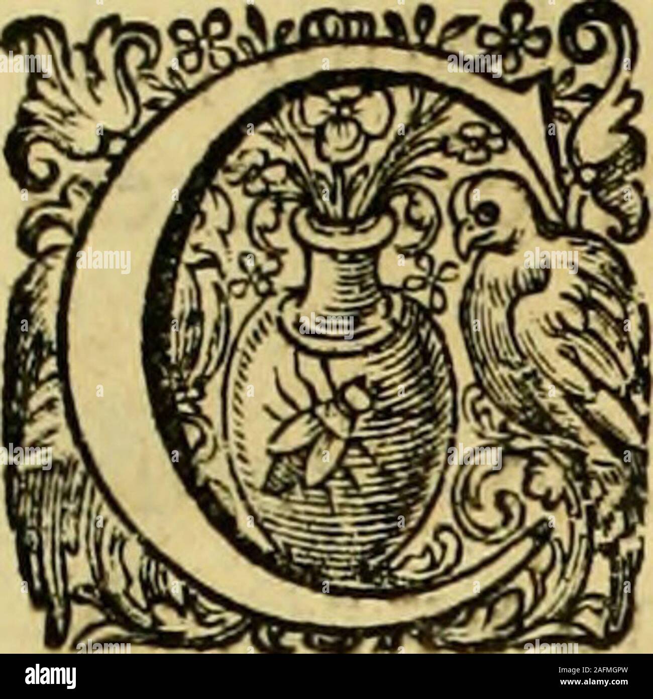 La Gallerie Des Femmes Fortes Precipices Que Ceft La Modeftie O La Fideli Te Qui Font Les Preudes Et Non Pas Les Cheueux Arrachez Ny Lesioues Dechirees Qu Deiiil Raffis Vn Oc