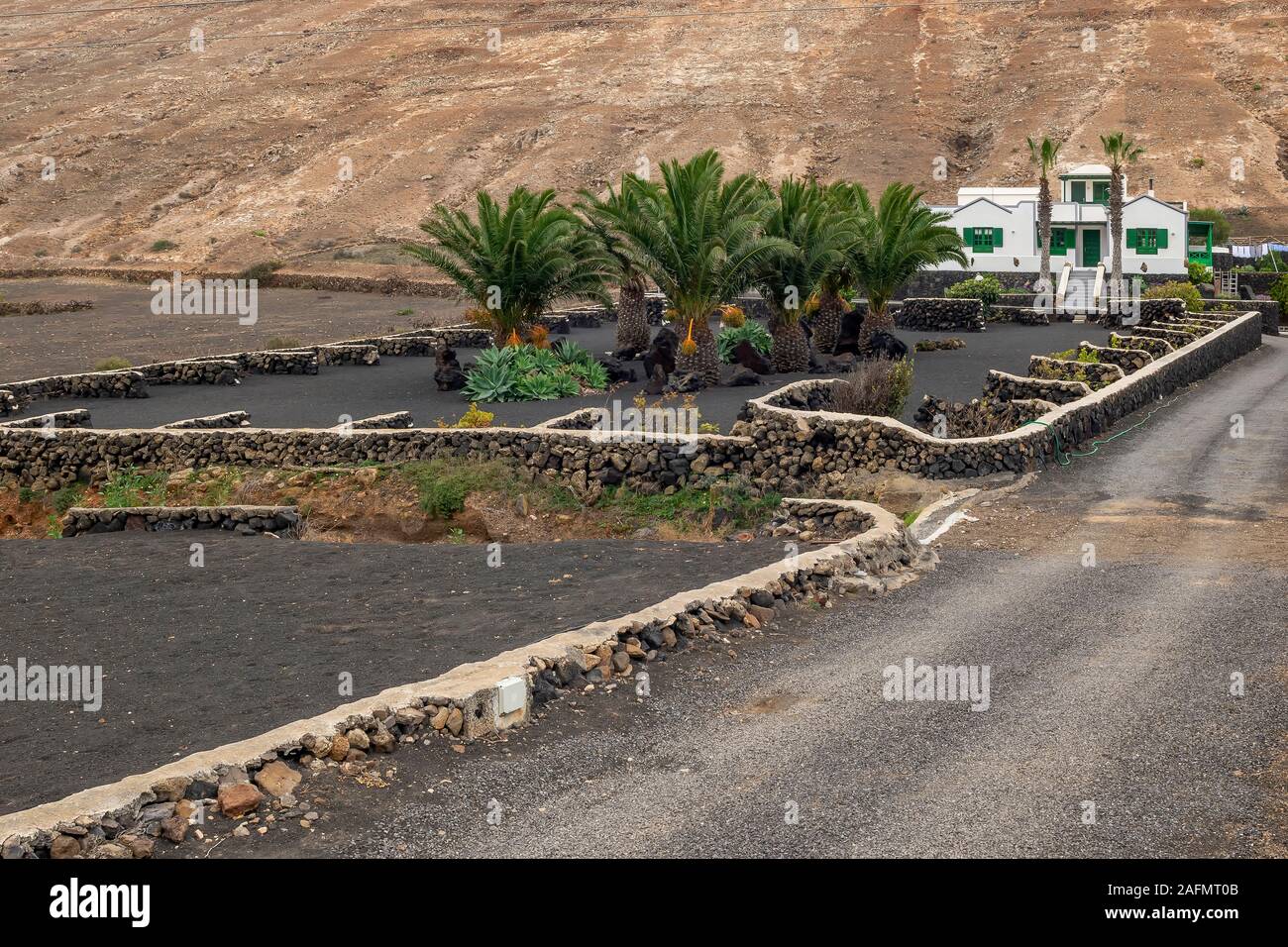 Le typique paysage lunaire de Lanzarote Puerto Del Carmen dans la région, en raison de le sol volcanique, Îles Canaries, Espagne Banque D'Images
