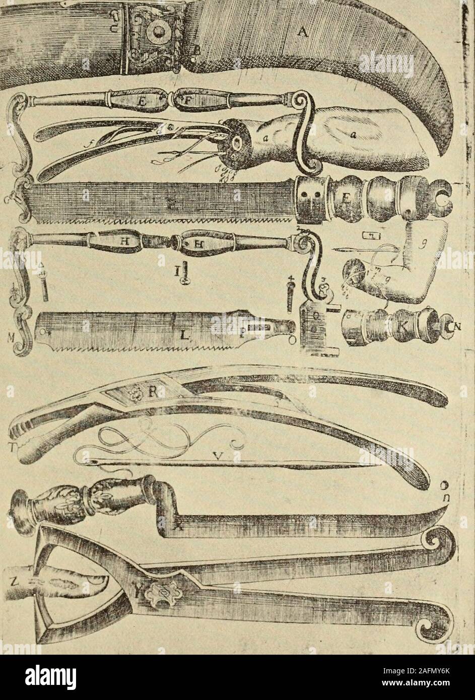 . Quintessence de l'histoire de la médecine : basé sur un cours de conférences prononcées à l'Université de Buffalo. ases où ithad un heureux problème pour la mère et l'enfant. Il evenreported les plus remarquables de tous les cas,-que d'un womanwho était six fois livré par cette opération, et whoperished dans le septième secret, parce que, comme il le dit, le chirurgien qui avait été habitué à fonctionner sur herwas absent. Malheureusement, ce cas n'est pas authentifié. Rien ne montre mieux combien l'art de l'observation de phénomènes description andaccurate avait progressé à dutemps de la renaissance de lettres de Banque D'Images