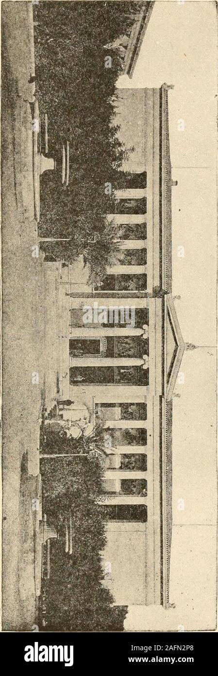 . Les dirigeants de la Méditerranée. y, avec de nouvelles rues andnew les bâtiments publics, et un nouveau roi et RoyalPalace. C'est comme une petite miniature. Il y a un peu armée, principalement composé d'officiers, et aminiature cabinet, et une belle uni-versité miniature, et tout le monde connaît tout le monde ; andwhen le roi ou la Reine de l'avant, l'guardturns lecteurs out et souffle un bugle, et ainsi tout Athènes,qui est toujours assis dans les cafés autour de lavis du palais, hoche la tête et dit, la reine va pour un lecteur, ou, est revenu début HerMajesty à-jour, et thencontinues à clank son épée et t Banque D'Images