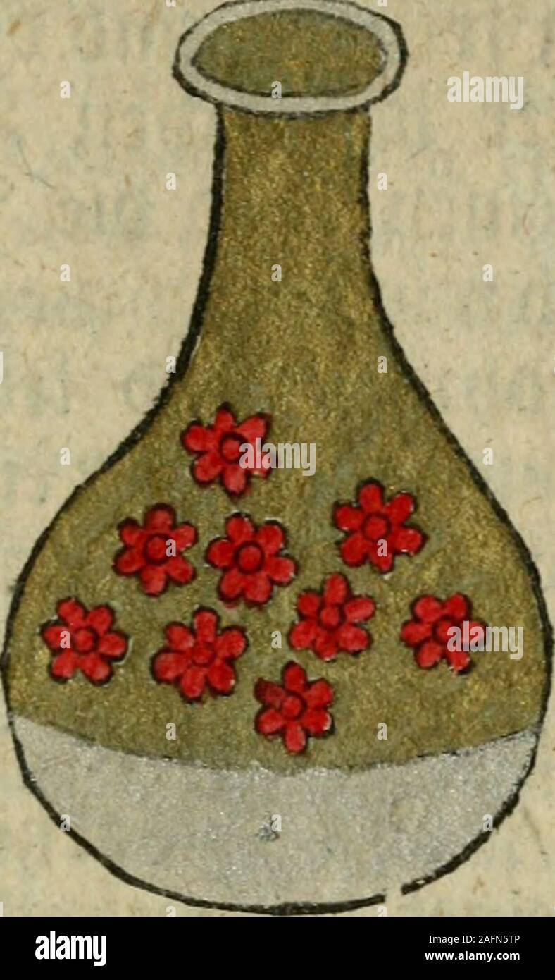 . Joh. Faustij Michaelis ... Recueil alchymist. novum, sive, Pandora explicata & figuris jllustrata, das ist, Die edelste Gabe Gottes, de l'Oder, Ein Schatz güldener : mit welchem die alten und neuen Philosophi, die unvollkommene Metall, durch Gewalt des Feuers und allerhand schädliche oecd, unheylsame Kranckheiten innerlich und und die durch, äusserlich Würckung vertrieben haben : dieser Edition wird annoch, nebst vielen und über Philosophischen 800 Kupffern Anmerckungen volkomenes alchymisticum, ein Lexique novum, und ein vollständiges Register rerum et verborum, beygefüget bus corpori. Banque D'Images