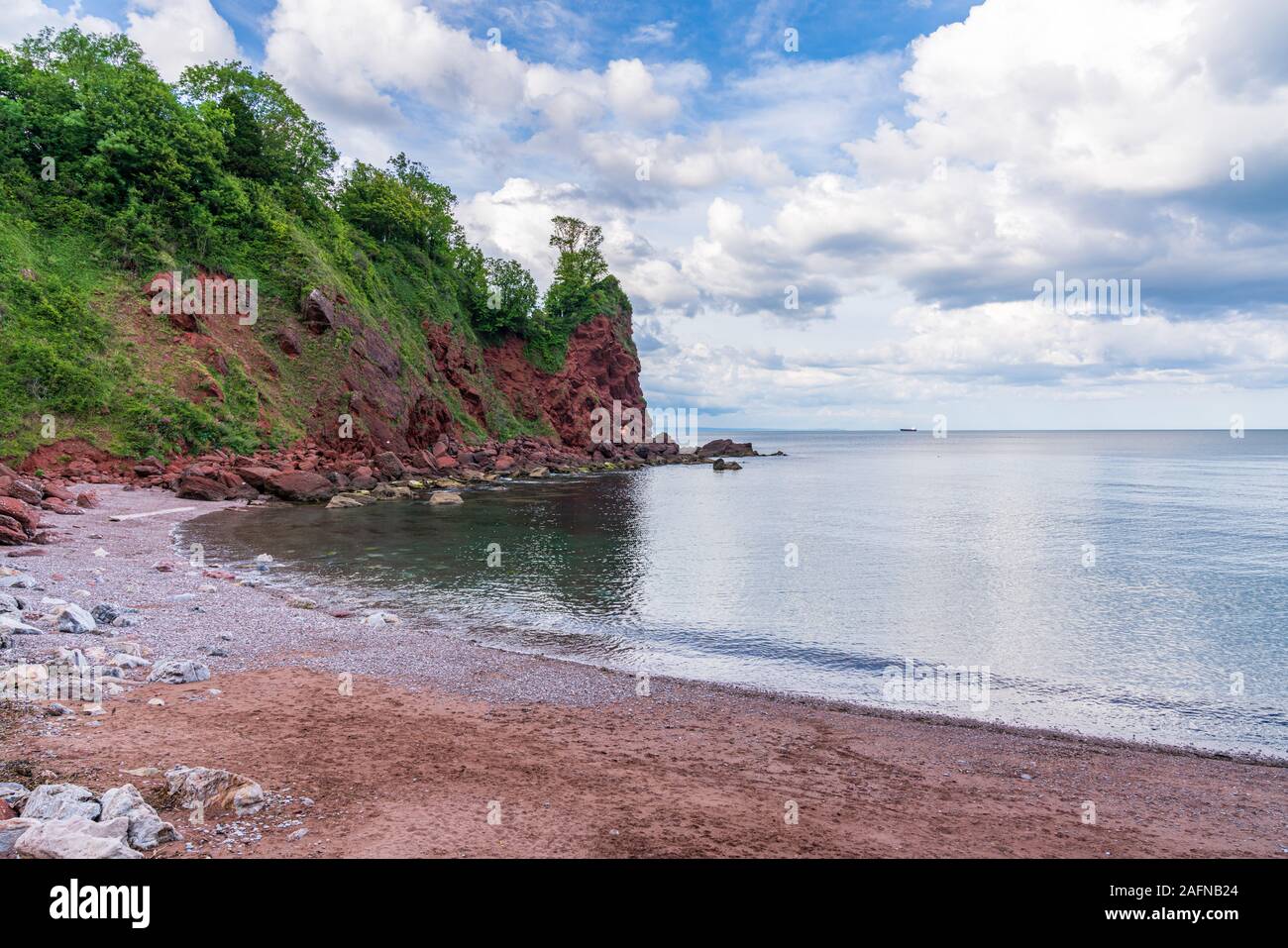 Watcombe Beach à Torbay, England, UK Banque D'Images