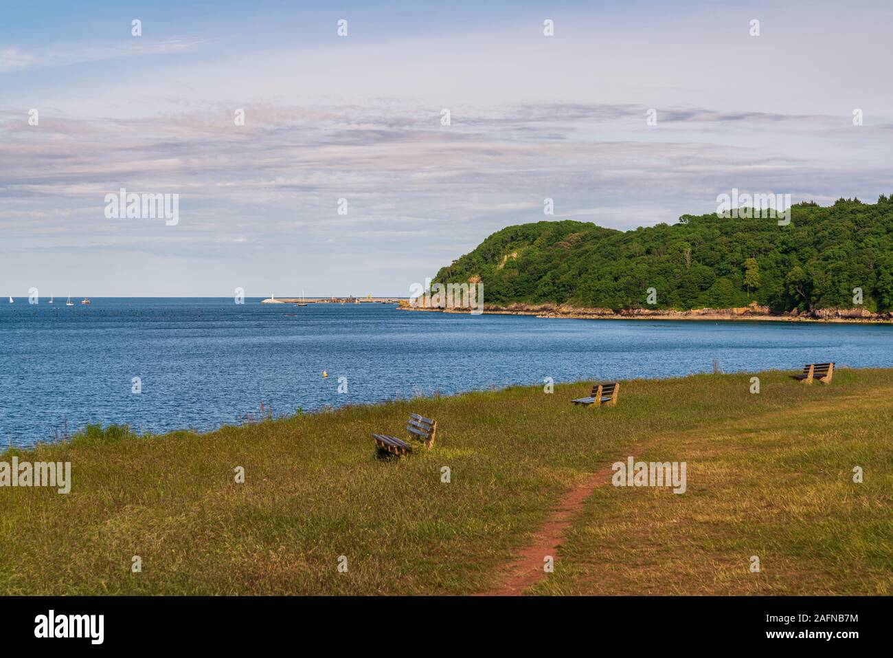 Un sentier avec des bancs à la côte entre Broadsands et Elberry Cove, Torbay, Angleterre Banque D'Images