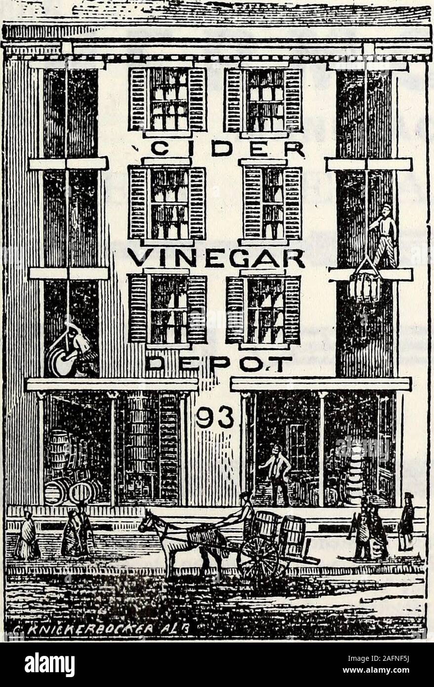 . L'annuaire des entreprises de l'État de New York, contenant les noms, les affaires et l'adresse de tous les commerçants, les fabricants et les hommes tout au long de l'Etat. Le cuivre, épices, moutarde, gingembre, tartare HUN Saleratus, &c,Coin sud-est de l'échange et doyen de la Sts.f ALBANY, EN. Y. A. C. JUDSON, S. H. Parsons. WM. HASKELL H... La RIVIÈRE DU NORD, vinaigre 92 & 93 Quay Street, ALBANY, N. Y. CRAPO & CO. AUSSI LES FABRICANTS DE CIDRE CHAMPAGNE .JE SERVICE PUBLICITÉ. 85 BACON, STICKNEYS* & CO., les fabricants et toutes sortes d'Dcaiersjn en gros ? Banque D'Images