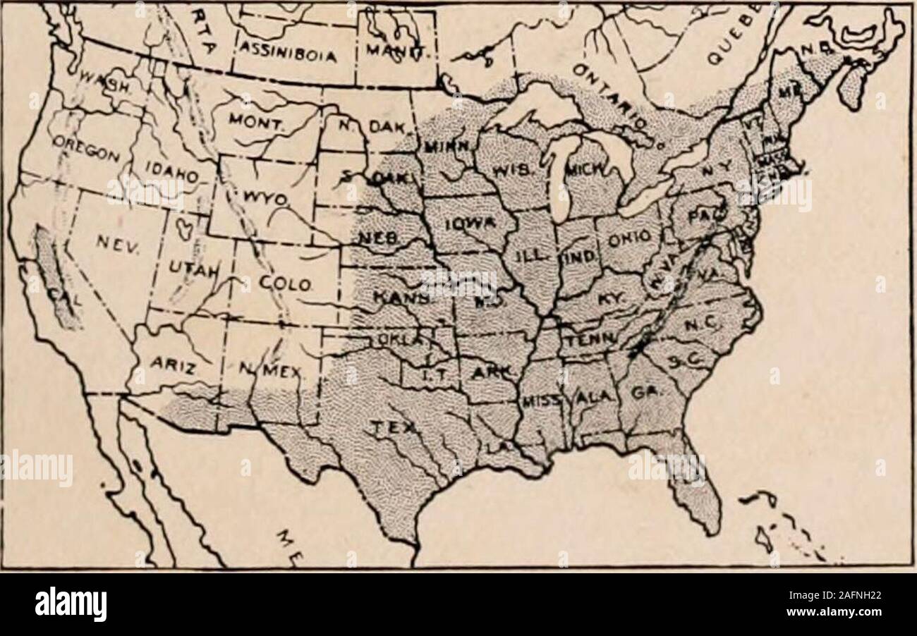 . Manuel de l'arbres des états du nord et le Canada à l'Est des Rocheuses. Photo-descriptif. Ibs 7.je l'écorce est riche et intanning est utilisé dans la pratique domestique dans le traitement des fièvres. Quitte à développante tho bud, lancéolées, parfois nettement falciforme (ainsi dans falcatn veryIons var.) ; atténuer souvent avec pointe courbée, :&gt ;-( ! En. loni, wedge-sliaped.ou arrondies à la base, finement dentées, vert clair, glabres. andsometimes altove légèrement plus pâle pubescent sur les veines sous un iwith le très court pétiole sans glandes : budssmall d'hiver, environ  % in. de long. Floirrm avec l'expansion de partie Banque D'Images