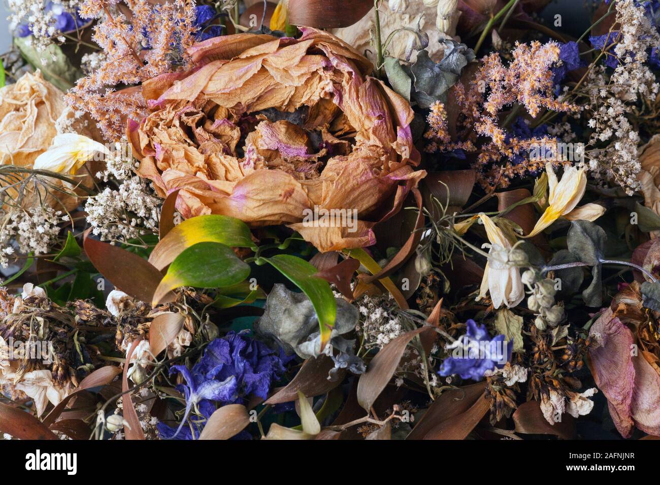 fleurs mortes dans une couronne Banque D'Images