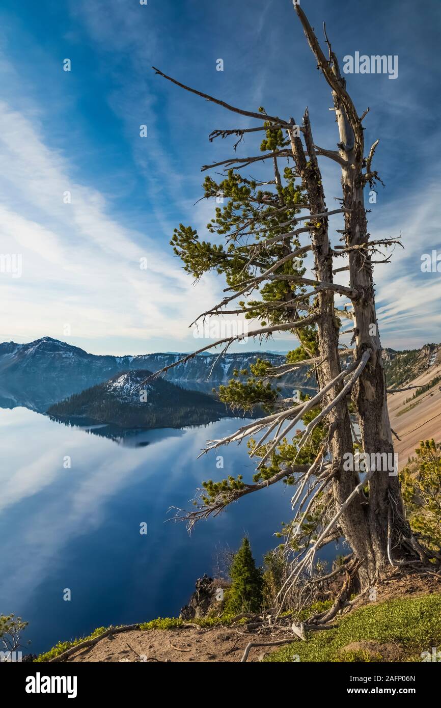 L'île de l'assistant dans le lac du cratère de Crater Lake National Park, Oregon, USA Banque D'Images