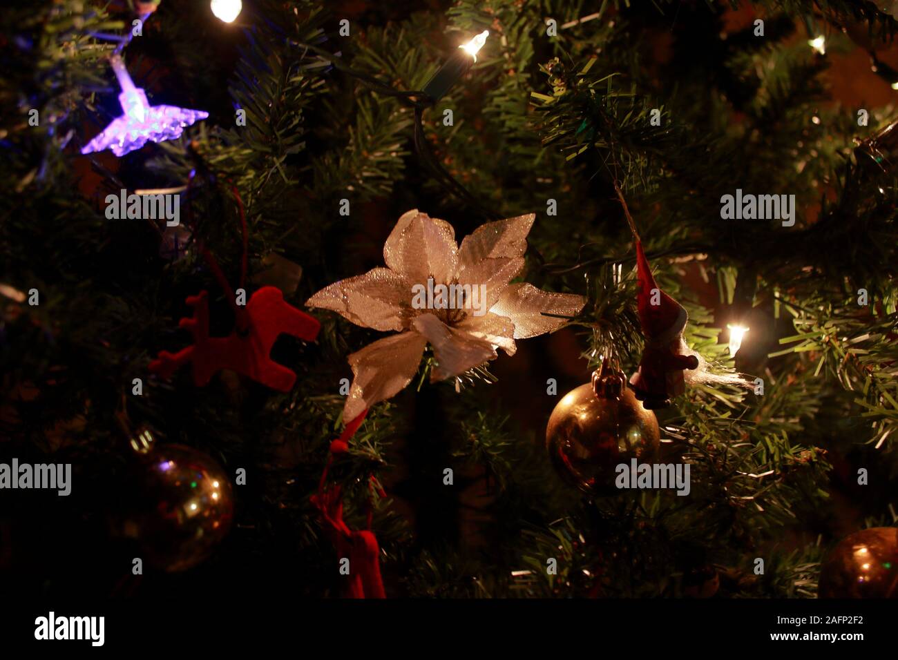 Macro photo d'arbre de Noël Banque D'Images