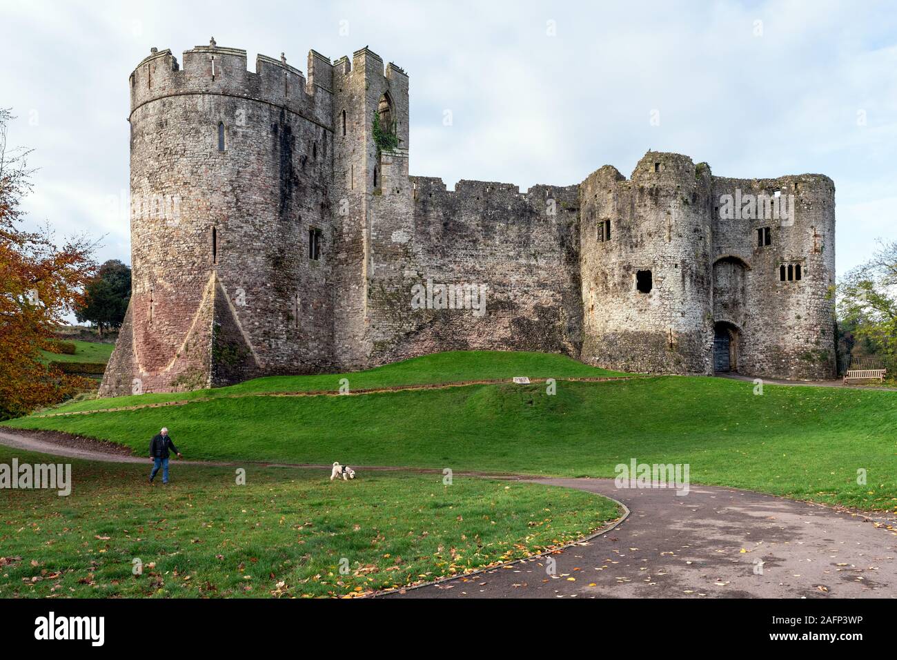 Le Château de Chepstow, dans le comté de Monmouthshire au Pays de Galles UK avec un homme qui marche un chien. Scène de combat de la guerre civile. Banque D'Images