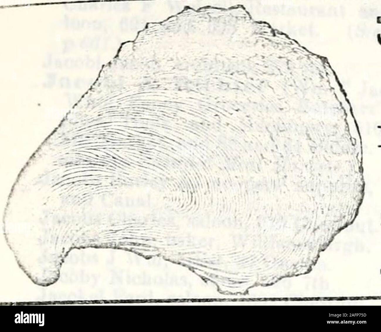 . Répertoire géographique de l'état du Wisconsin et annuaire d'entreprises. Des tailleurs, 413 Chestnut.Bloc de fer,s e cor Wisconsin et Wator e^Isaacson Isaac W (AGT), messieurs, furngs 127 Huron.ceinture intérieure ami f&gt;oor,r ler GMuel Erueger Pres, F et Sec Treas, cor Clinton et Bicher. {Voir adv, p 4 )Israël Frederick W, l'immobilier, Williams burgh.Israël Max, produits secs, 708 Winnebago.Iverson J C Co, John C Iverson pre"^ Robert Kohlsdorf sec, images, etc. 425 E L'eau.Iwer Herman A, épicier. 12 449 ave.Jackman Miss Jane, modiste, 462 Jlilwau- kee.Jackson John P, dentiste, Wisconsin 107.Jackson Lewis H, ingénieur civil, 37 Banque D'Images