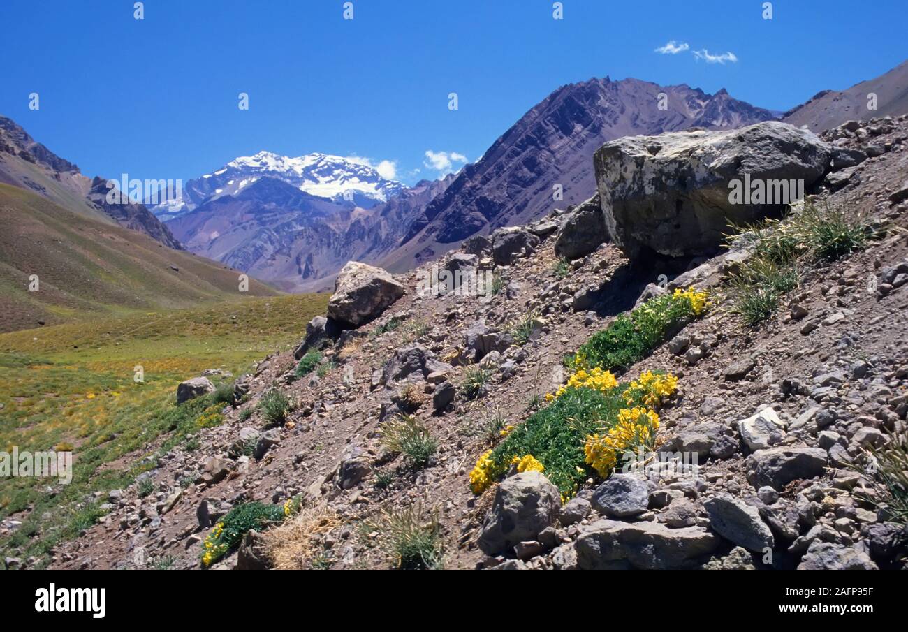 Andes, Aconcagua, Aegentina Banque D'Images Andes, Aconcagua, Aegentina Banque D'Images