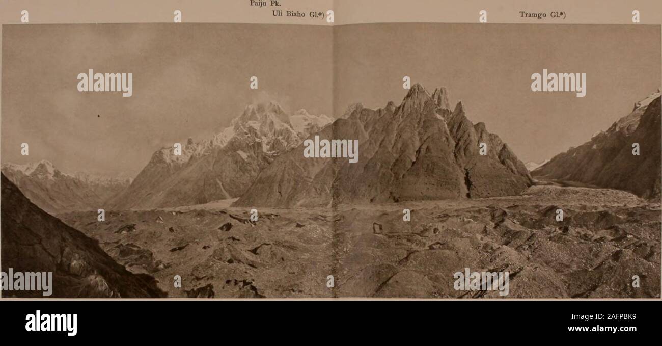 . Et de l'ouest Himalaya 1909 Karakoram, un compte de l'expédition de H. R. H. Prince Luigi Amedeo de Savoie, Duc des Abruzzes. [^•. r.VIJU CRÊTE ET L'RDOK^INFÉRIEUR DE BALTORO VSS. profondément, et nos appétits sont excellents. Certains d'entre nous, cependant, notedeven à cette période précoce que lorsque nous avons baissé en bas pour attacher notre shoesor : oui vent puttees, par exemple, il serait pris par une légère oppression sur senseof encore debout, et obligé de prendre quatre ou cinq deepbreaths. C'est, bien sûr, impossible de marcher en montée plus rapide que surle régions sans certains troubles respiratoires, mais je peux hardl Banque D'Images