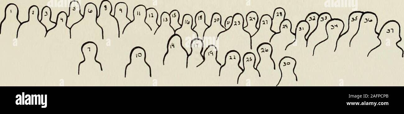 . Le rhododendron [Série]. 1. Grady Bebber 2. Johnny Puntch 3. Tom Ingram 4. Charlie 5 crochets. Charles Roberts 6. Phil Phillips 7. Nina Tinsley 8. Tony Corter 9. Hoke Robert 10. 11 feuilles de Libby. Wolfe Hudson 12. Steve Tarrant 13. Dennis Hipp 14. Janice Smith 15. Maurice Ewing 16. Howard Kincaid 17. Dianne Banquier 18. William Basinger 19. Aleta Owens 20. Charlie Elliott 21. Roger Carpenter 22. Kaye Michael 23. David Dize 24. Lyn Keller 25. Sandy Winkler 26. Tawona Walker 27. Ben 28 Sloop. Vandiford 29 gènes. Steve Norman 30. Carol Martin 31. Gayle Gray 32. Gory Whitoker 33. Richard Shepherd 34. Banque D'Images