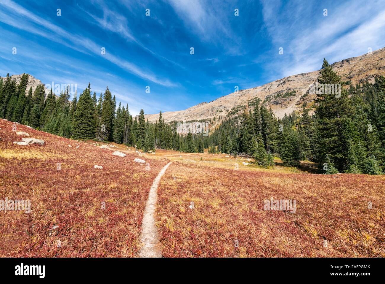 Sentier de randonnée dans le désert des pics indien Banque D'Images