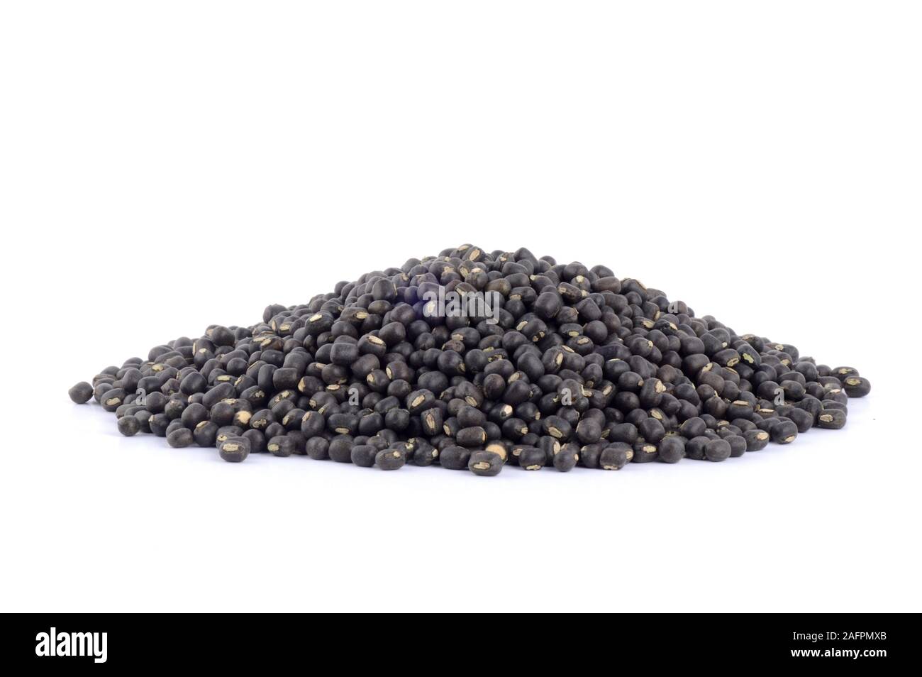 Urad dal, Vigna mungo, gram noir sur fond blanc Banque D'Images