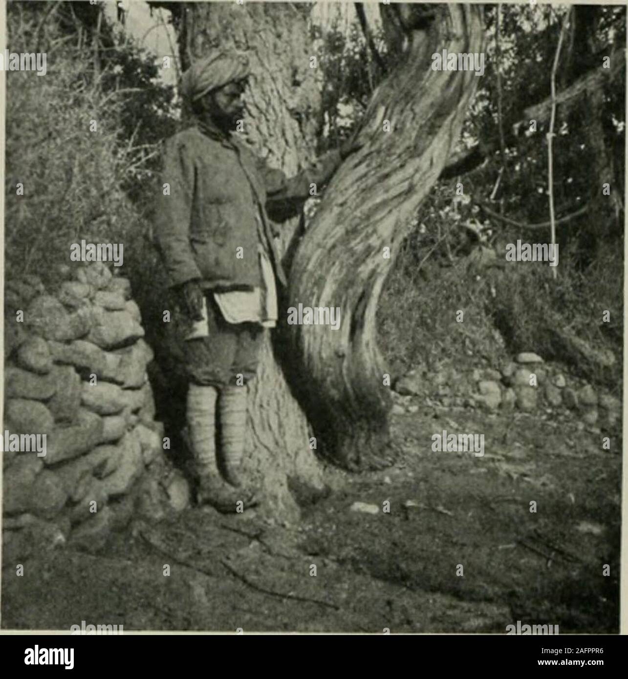 . Et de l'ouest Himalaya 1909 Karakoram, un compte de l'expédition de H. R. H. Prince Luigi Amedeo de Savoie, Duc des Abruzzes. trois étapes, s'arrêter à thevillages Alchori de Yuno et ; mais nous n'tlio 29 oi 30 milles dans twodays. Après, Shigar pendant environ six milles, nous sommes allés le long d'une route ombragée,la large n'arrivent pas à des lits caillouteux torrents qui coulent downfrom les montagnes sur notre droite. Petit à petit, cependant, increasingreaches désert d'intervenir entre les villages, et les zones cultivées dans landagain prend la forme d'oasis. • Lvmbri^hmm. ou gémissements Vallée. L'IA. 142 Chapitre IX. De Shigar l Banque D'Images