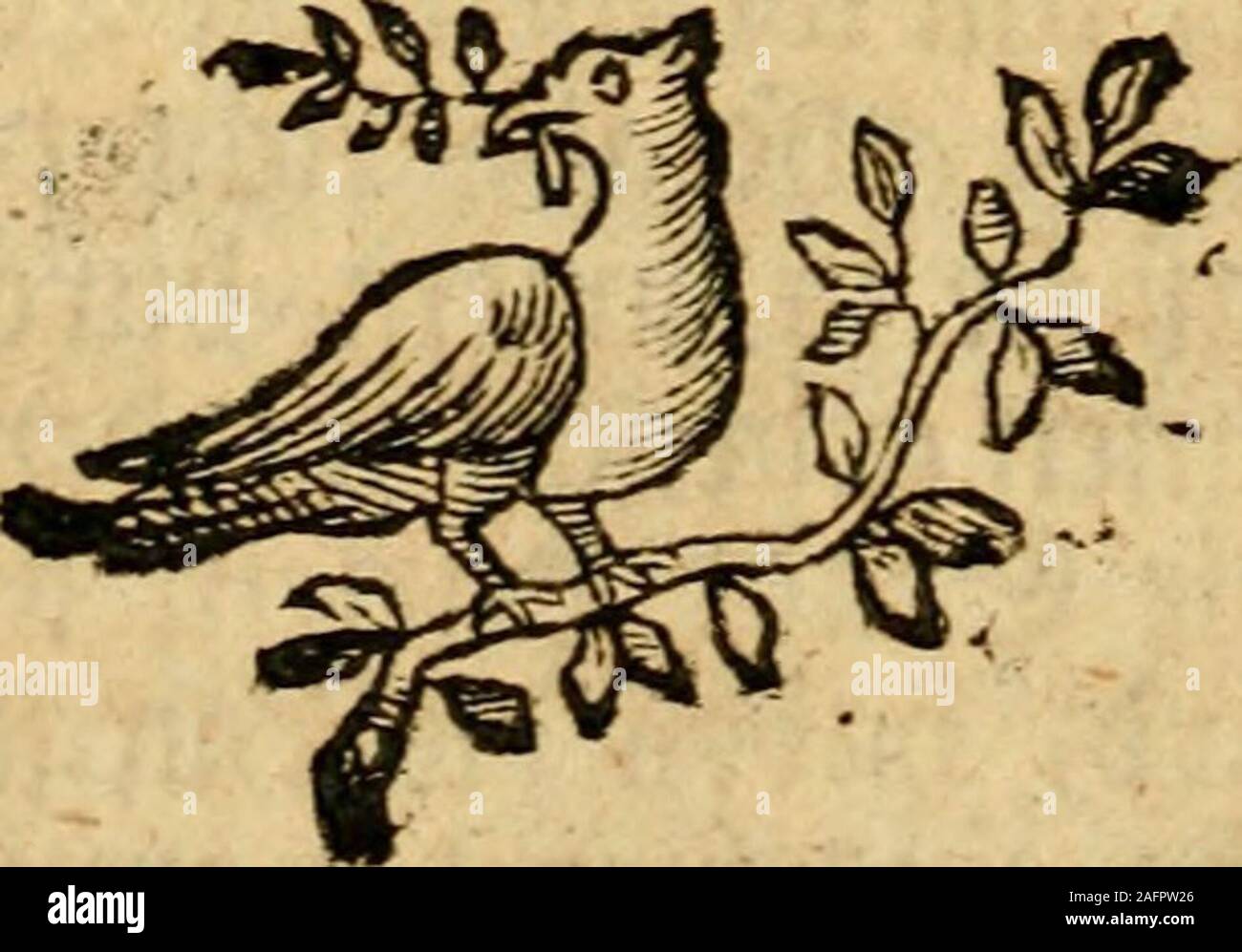 . Centi-folium stultorum en quarto, de l'Oder, Hundert Narren ausbündige aufgewärmet in folio : neu und einer dans Alapatrit-Pasteten Schau-Essen zum, mit schönen hundert, Kupffer-Stichen zur ehrlichen Ergötzung nutzlichen Zeit-Vertreibung, und, nettement frölich- melancholischen Gemüthern aufgesezt : als auch mit einer delicaten Brühe artigen vieler, Historien lustiger Fablen kurtzweiliger, Discursen erbaulicher Sitten-Lehren, und angerichtet. n ^^meiftedidö iffen Starren vt bieffi ietir aftenunbSflaturenber Sauben(*j nemlicb biegelb^§ ; ba Sauben bei gern) bemSajafer tbrcn fet)n/ löfcben Surft ju ; tige^ b Banque D'Images