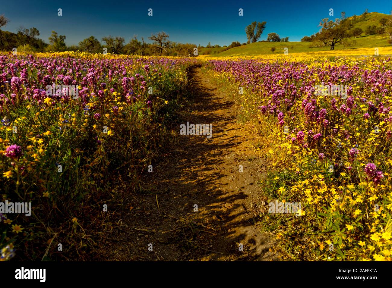 San luiis obisbo Banque de photographies et d’images à haute résolution