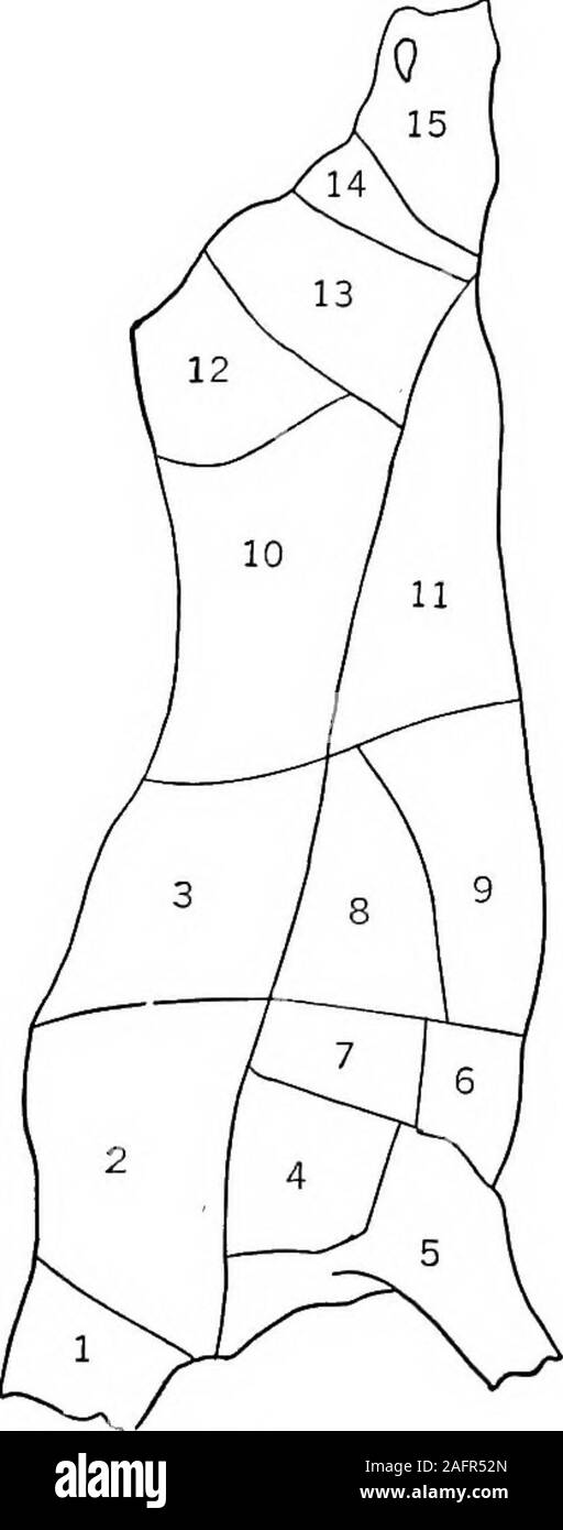 . La nourriture ; sa composition et préparation ; un manuel pour les cours d'arts ménagers. 1. Le cou. 2. Chuck. 3. Bib3. 4. Pointe d'épaule. 5. Jarret avant. 6. Brisket. 7. La riba. 8. La plaque. 9. Navel, 10. liOln. 11. Flanc. 12. Bump. 13. Bpund. 14. Deuxième coupe rounjA.15. Jarret arrière.. Cochon. 28.-diagrammes des coupes de boeuf. 108 l'alimentation (7) Une réaction acide est donné au papier de tournesol. Analkaline ou réaction neutre indique que quelques preservativehas été utilisé. 185. Coupes de boeuf.-(Voir Fig. 28.) (a) Partie 1 trimestre. Cou 2. Chuck 3. Les côtes, 5e et 6e 4. 5 de l'épaule. Jarret avant 6. Poitrine 7. Les côtes 8. Plate 9 Banque D'Images