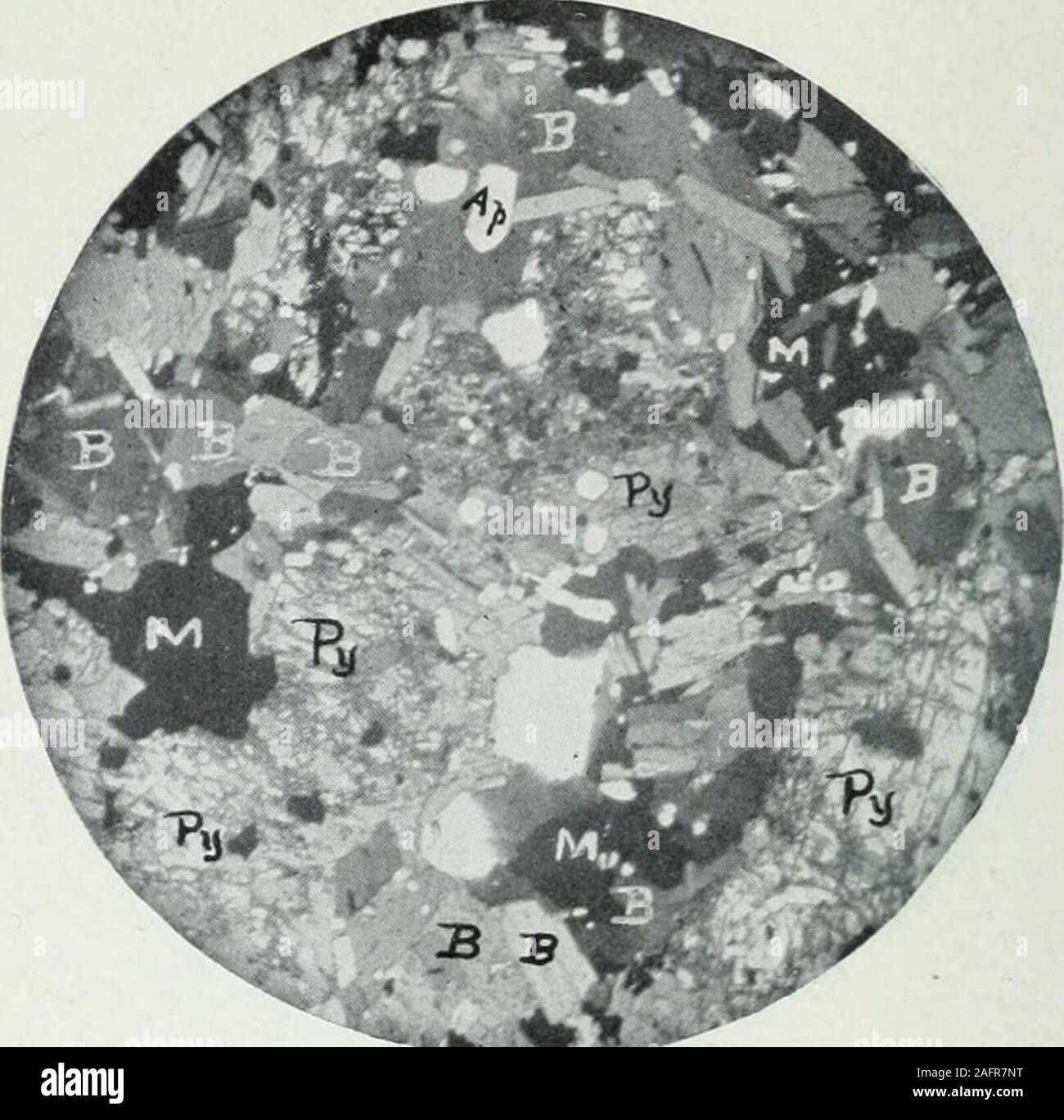 . Les transactions. Fig. 2.-Coarse-Gkained Gabbro, diamètres 18 ; une lumière polarisée  ; NicoLS croisés. Champ réel, 4 mm. 18 Une TITANIFEROUS-MINERAI DE FER. I. ^^""ftb.jtei 4 Fig. 3.-Biotite-Pyroxene Zone de digue, d'un diamètre 9 OrdinaryLight ;. Champ réel, 8 mm. Apatite (AP), la biotite (B),le pyroxène (Py), la magnétite (M). Banque D'Images