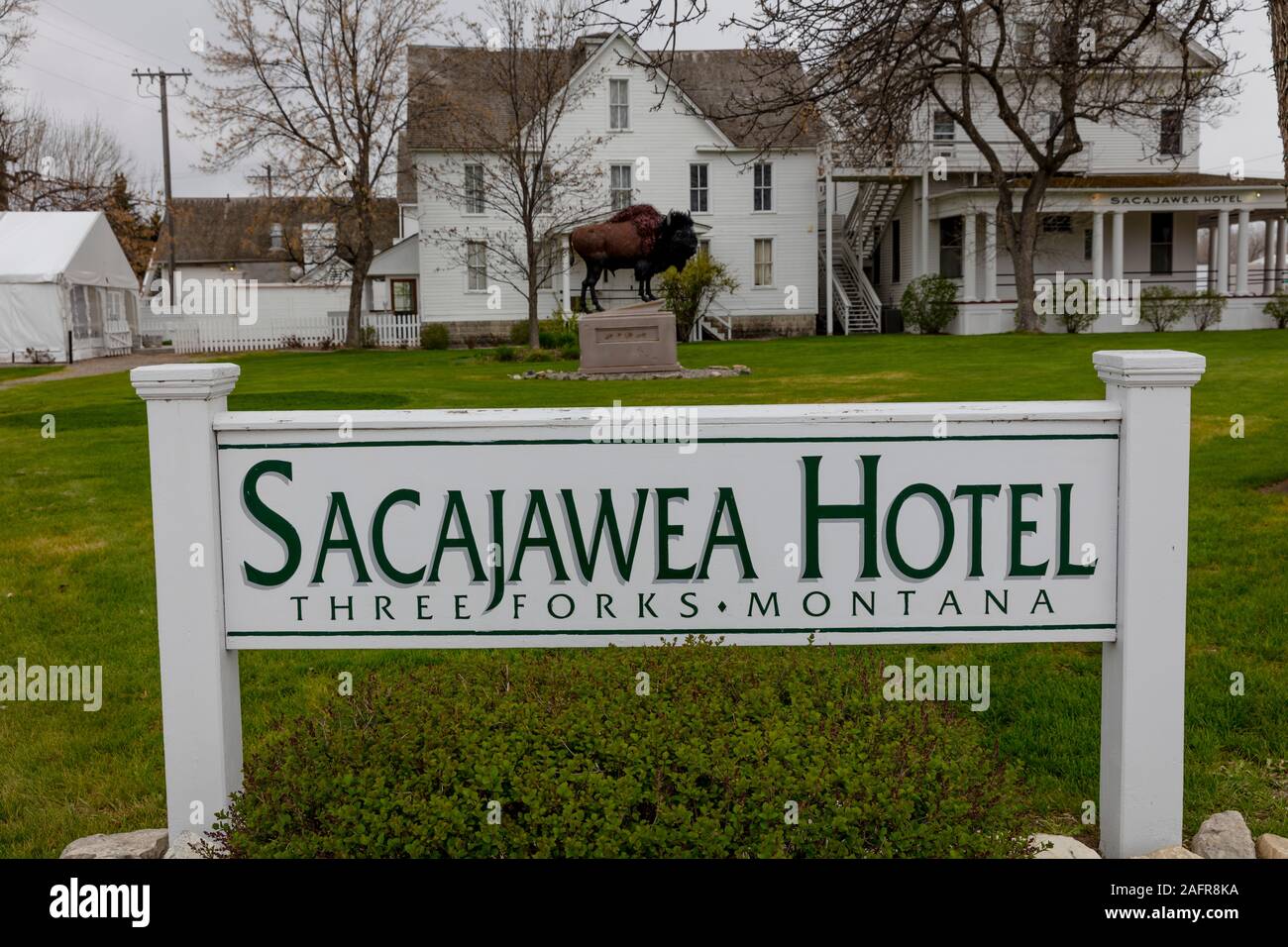 23 mai 2019, trois fourchettes, MT, USA - Buffalo en face de Sacajawea Hotel, trois fourchettes, Montana honore Sacajawea et l'expédition de Lewis et Clark Banque D'Images