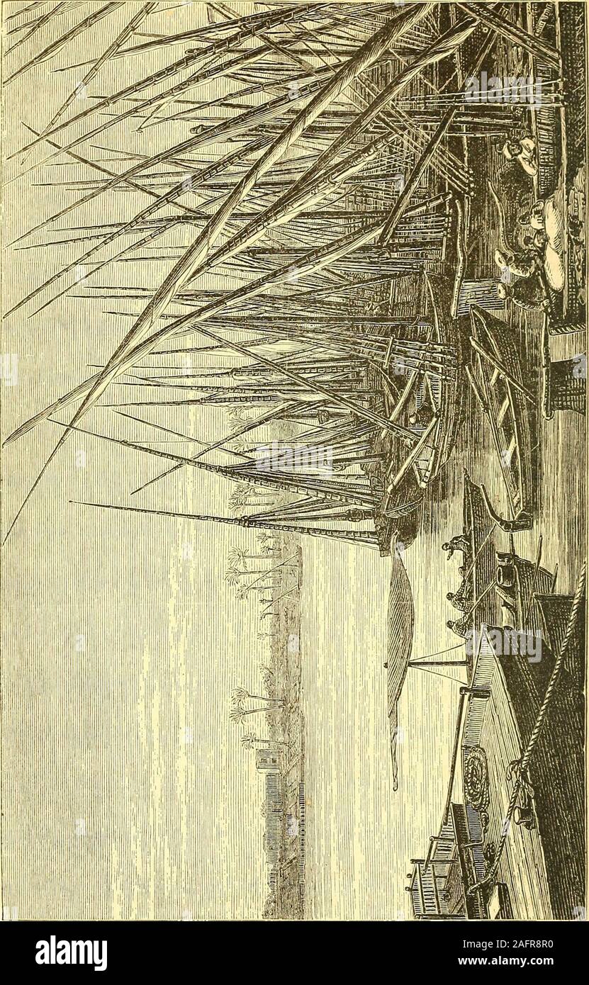 . William H. Seward's voyages autour du monde. s,sauf une petite force de maintien de travailleurs arabes employés dans thecanal et railroad gratuitement à partir de l'exploitation des sables bitumineux. Sur ce chemin, nous avons fait notre première rencontre avec theBedouin les Arabes. Ils campaient avec leurs chameaux et horseson une oasis d'à peine trente tiges filetées de circonférence, son vegetationbeing en raison d'une fuite d'eau douce pour le petit canal. TheBedouin tentes indiquent le vagabondage. Campement de TI13 n'avait pas de fem-en ; les hommes sont vigoureux et beau. Combien de temps faudra-t-il bebefore ces voyageurs des sables, la distribution avec leurs cara-cars, Banque D'Images