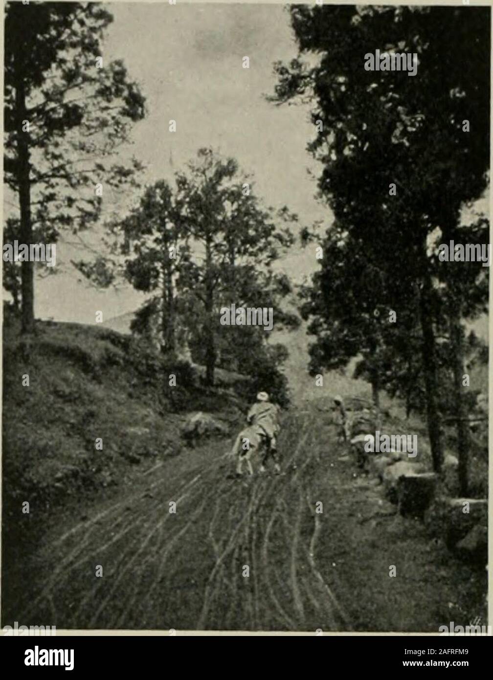 . Et de l'ouest Himalaya 1909 Karakoram, un compte de l'expédition de H. R. H. Prince Luigi Amedeo de Savoie, Duc des Abruzzes. d'entre nous tous les quatre ou sixmiles, selon le steepnessof la route. Peu de temps a été lostsystem extremelysimple est de faisceau. Il n'y a pas de boucles, pas de sangles et aucune trace. Il n'y a qu'abar qui traverse le poteau et s'insère dans deux montants fixes en thesaddles du faisceau. Le postillion sale et loqueteux se trouve à côté du pilote et avec theharsh notes stridentes et de son klaxon ouvre la voie des charrettes, tongas ekkasand où nous gardons rencontre et passant. Nous l Banque D'Images