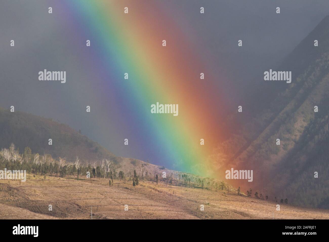 Un arc-en-ciel magnifique et brillant à travers les montagnes de l'ouest de Maui à maui. Banque D'Images