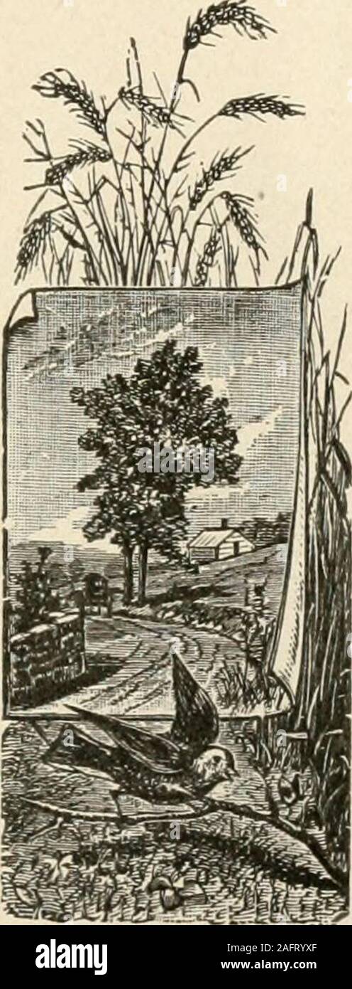 . La vie et les écrits de Rufus C. Burleson, contenant une biographie de Dr. Burleson par Harry Haynes ; l'occasion de funérailles, avec des sermons, etc ; sélectionné 'Chapelle parle ;' Dr. Burleson de prédicateur, avec certains sermons. nopoly. Chaque vrai Texan devrait aimer et chérir rail-route comme un grand facteur déterminant dans l'un des grandeststates au Texas dans l'Union européenne. En attendant, j'ai toujours profoundlyregret à voir railroad responsables spécialistes grossièrement avec citi-zens. Nous ne devons pas oublier que nous appartenons à la même greatfamily, et bien que parfois les chemins de fer ont fait moi greatinjustice encore, je serai jamais cher Banque D'Images