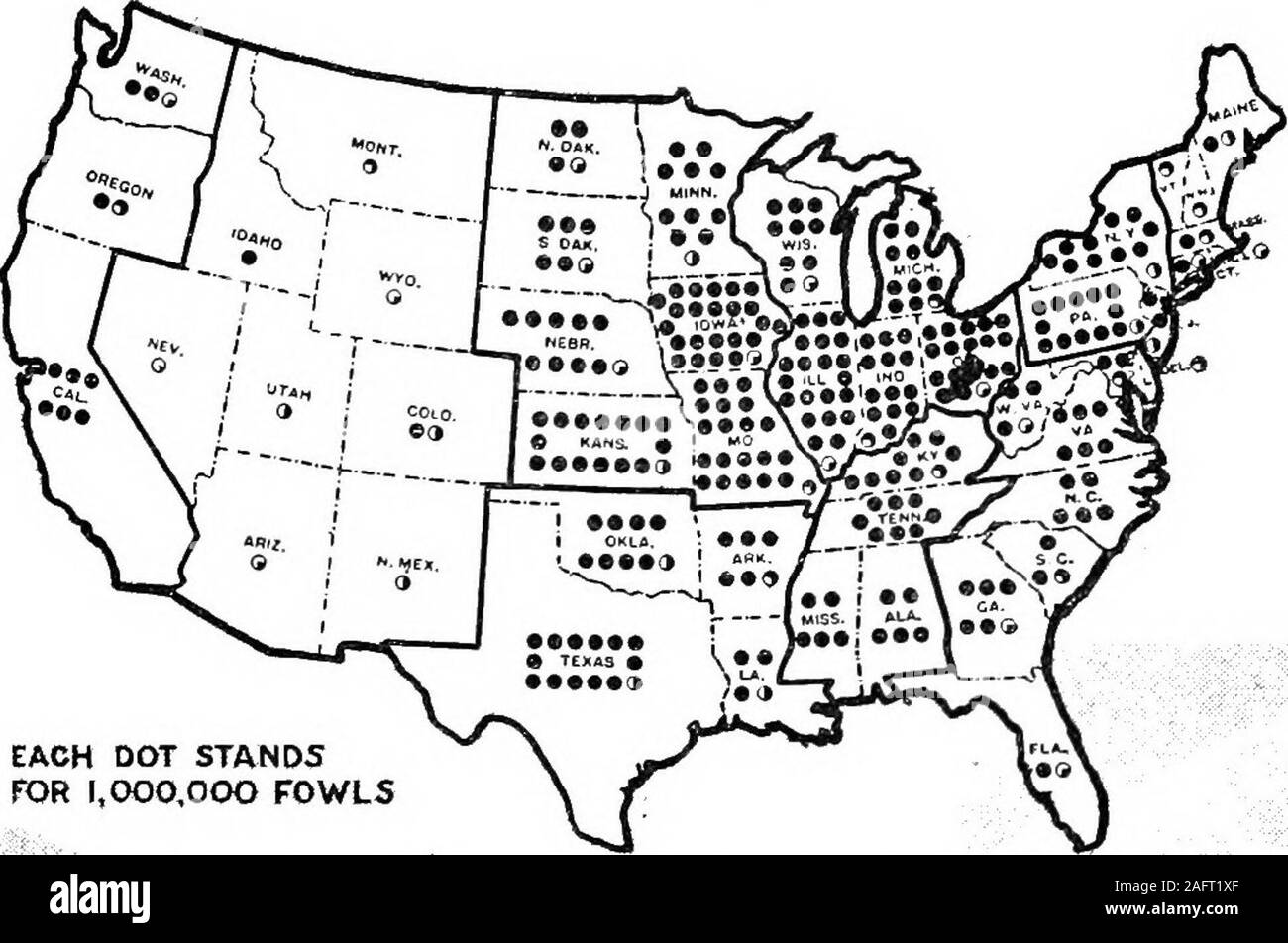 . La volaille pour la ferme et la maison. Bon pour les poulets mais hardon le jardin. Fixer les cages et les lieux d'alimentation pour les poussins. sauver non seulement votre temps, mais plusieurs de vos poussins. Ce sera trop souvent les femmes d'agriculteurs méritants alongwith lutte leurs troupeaux du mieux qu'ils peuvent avec pas de matériel, pas de stock, pas d'amélioration de l'encouragement, rien.tout autre live stock étant donné si peu d'attention wouldvield non retour. Lorsque LES VOLAILLES CROPIS produites. Chaque point STANDSFOR 1 000 000 oiseaux U. S. Rapport de recensement, la ceinture de maïs ou Central States mènent dans la production.Dans cette section chaque agriculteur conserve un assez grand f Banque D'Images