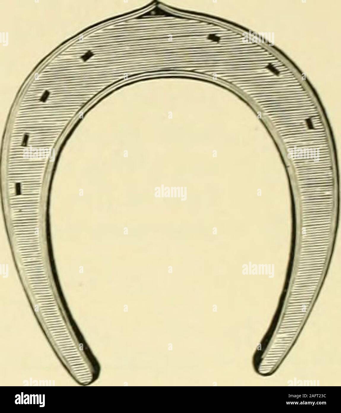 . Le cheval standard livre, comprenant l'apprivoiser, de contrôle et d'éducation des chevaux vicieux et ininterrompue. Fin. 46". Fig. 469. Chaussures à talons minces conseillés par le professeur Williams du Collège vétérinaire de l'Edinborough. Comme pour ne laisser qu'une douce, l'imperfection de l'avertisseur sonore. Dans la réinitialisation d'un tel service, il devient nécessaire de le mettre plus loin sous le pied afin d'ongle sécurisé-attente. Non seulement cela, mais la partie de la pro-jecting mur d'être coupés de la chaussure, il reste déformé et , blessé dans une mesure qui • (rl) JE ? Plusieurs mois de croissance, J ne peut pas réparer. Mais si la J I J^ être perforés de trous plus J'^ ?. partie Banque D'Images