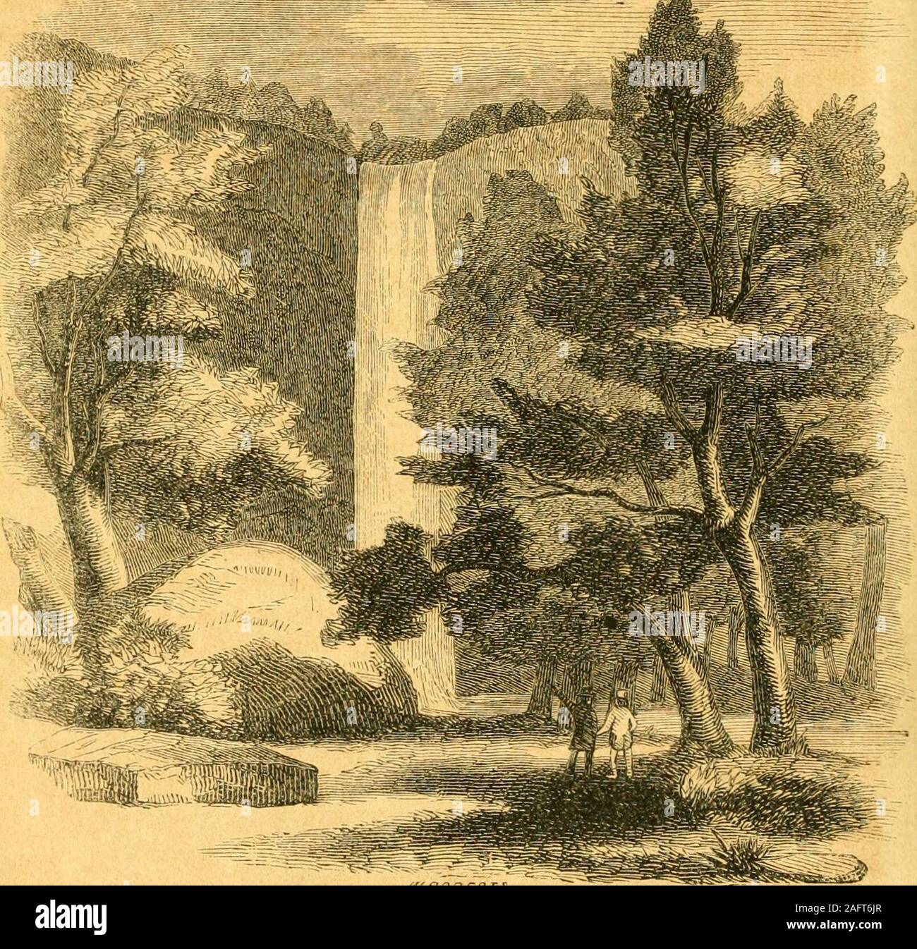 . Collections historiques de la Géorgie : contenant le plus de faits intéressants, des traditions, des notes biographiques, des anecdotes, etc. relatives à son histoire et d'antiquités, de son premier établissement à l'heure actuelle ; compilées à partir des documents originaux et des documents officiels ; illustré par près d'une centaine de gravures d'édifices publics, des reliques de l'antiquité, localités historiques, paysages naturels, des portraits d'éminents hommes, etc., etc. / par le révérend George White. SKAaBei ? Rs.CHUTES DE TOCCOA. HABERSHAM Comté. 489 tion de la nature. Gouffres sculptées et des polices, des portails, pour-midable stockade Banque D'Images