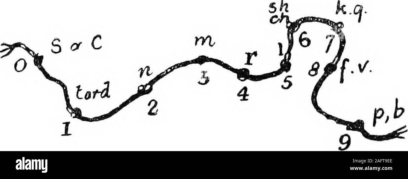 . Teen Tsze piao muh : un guide pour le dictionnaire. qui heused à faire des nœuds, qui lui servait pour les enregistrements des événements du voyage.que ces événements ont augmenté en nombre, de même que le moment étendre qui hedevoted chaque jour à sa tourelle de protocoles noués, tandis que cela thesailors beaucoup d'amusement à regarder et une attentionwith chaque autres les mots : il y a Le Boo la lecture de son journal. Le motivewith filial qu'il a tenu ce journal (qu'il pourrait le répéter à son père whenhe est retourné dans son île natale) était vouée à la déception, comme il a été emporté par la maladie peu après avoir atteint l'Eng Banque D'Images
