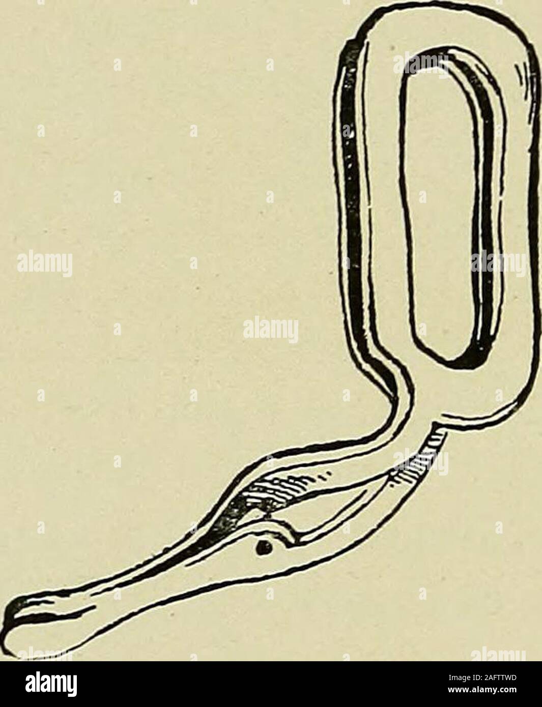 . Les maladies du rectum et anus conçu pour les étudiants et les praticiens de la médecine