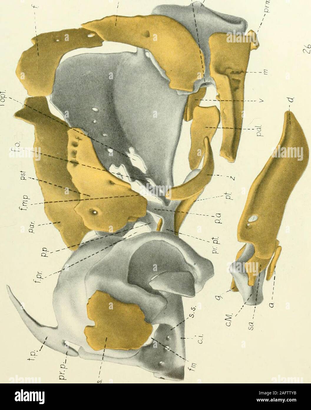 Gj 2 Banque D Image Et Photos Alamy