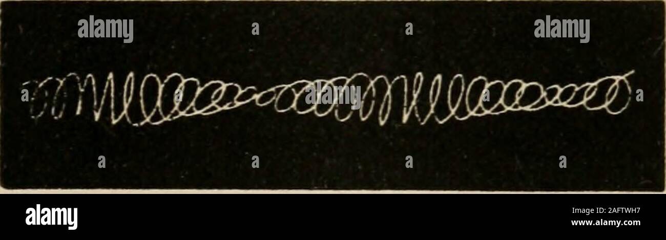 . L'art de la projection. Un manuel d'expérimentation en physique, chimie, et l'histoire naturelle, avec le porte lumière et lanterne magique. Fig. 53. Lorsque les fourches sont réglés exactement, la première figure de-développé restera, avec aucune autre modification de ce qui représente une baisse dans la taille, et peut être une parabole, un 8&gt ; calleda lemniscata, ou une forme intermédiaire. Bien que ce chiffre 8 est sur l'écran, laissez le deuxième. J ly fork rotation sur un petit arc, comme avant avec theunison, et le défilement de la Fig. 54 apparaîtra. Par essais les diapositives peuvent être réglé sur l'une des fourches que tous les ra Banque D'Images