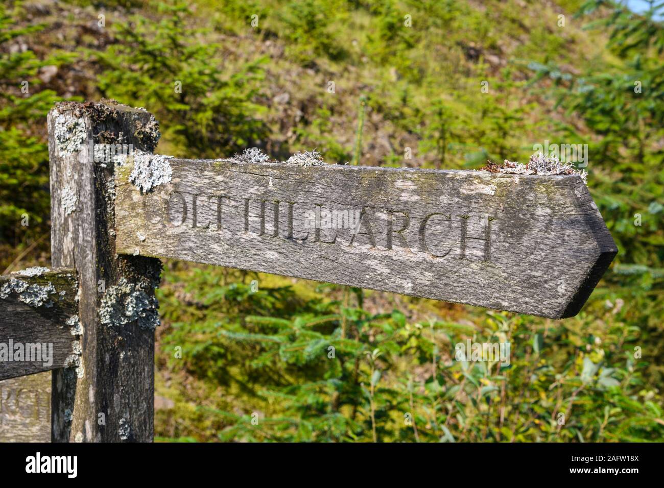 Lichen couvrait le panneau de sentier menant aux Arches, Dumfries et Galloway, en Écosse Banque D'Images
